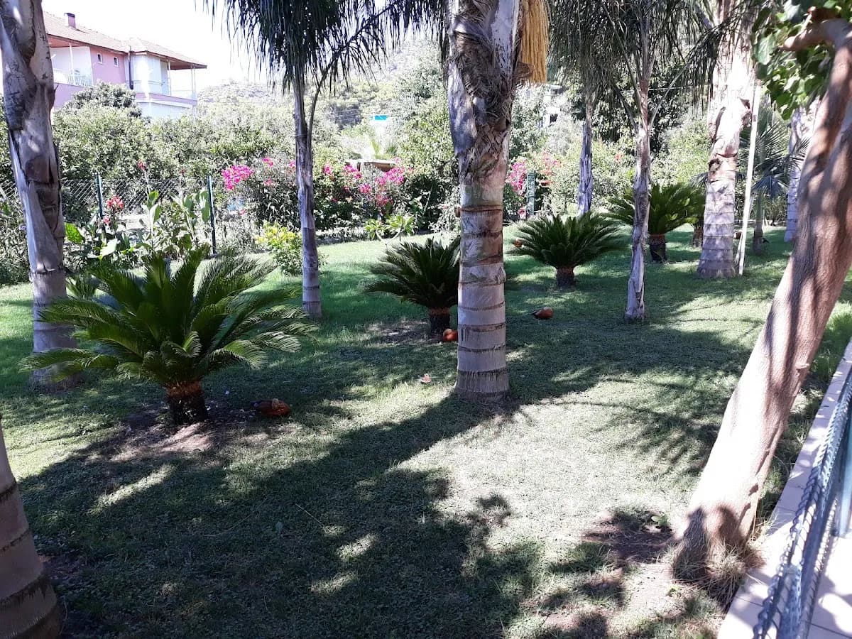 Çamyuva Motel - photo 3