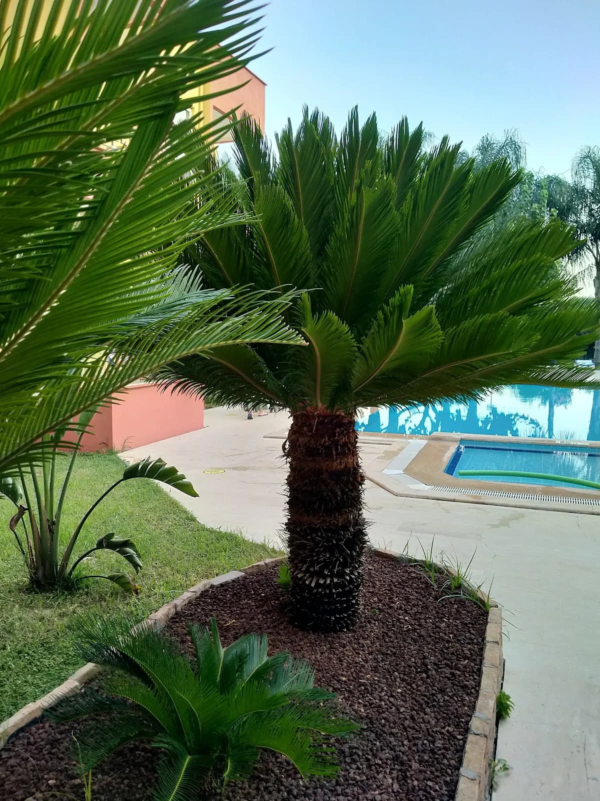 Çamyuva Motel - photo 4