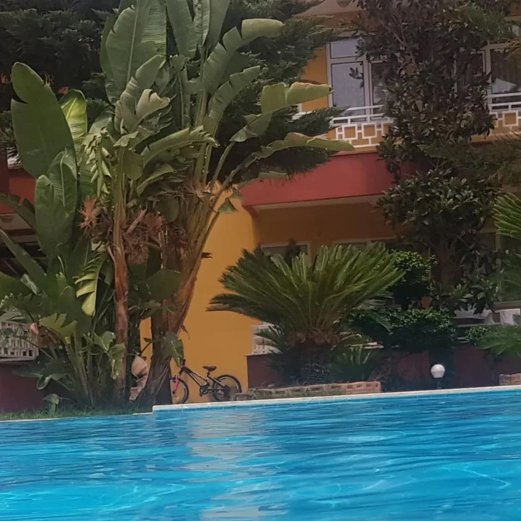 Çamyuva Motel - photo 8