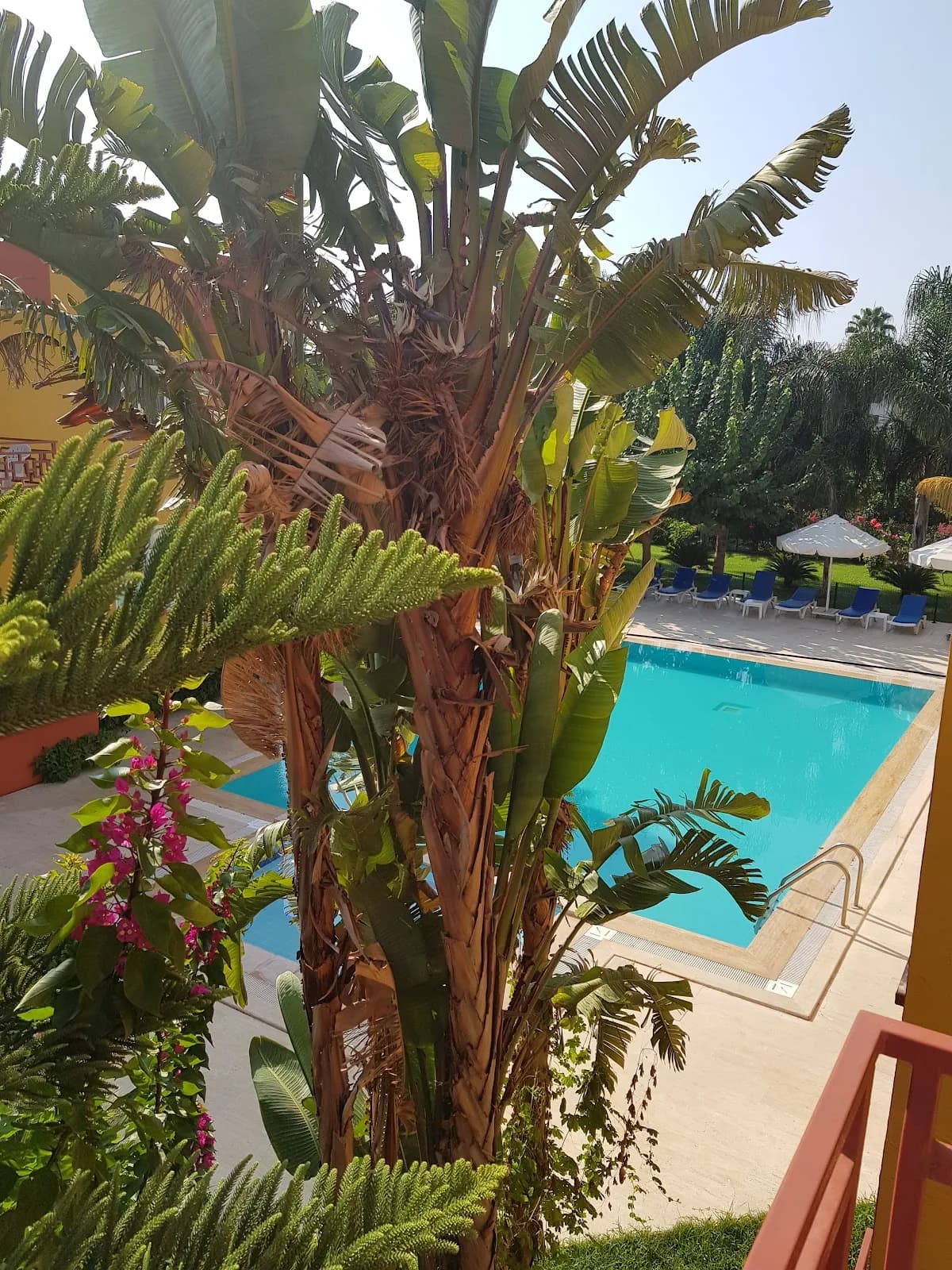 Çamyuva Motel - photo 10