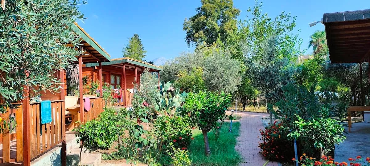 Felicity Hotel & Bungalows