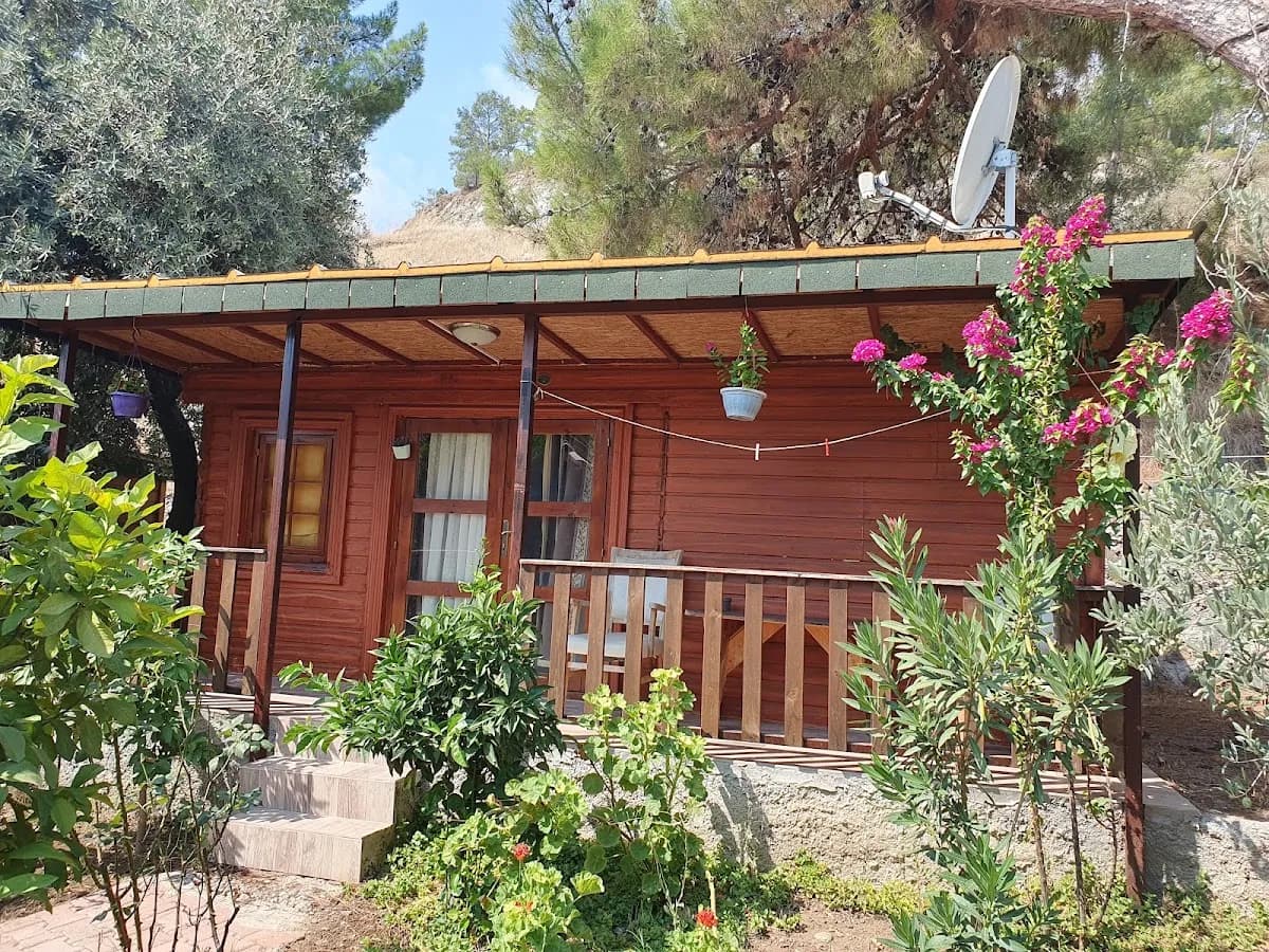 Felicity Hotel & Bungalows - photo 5