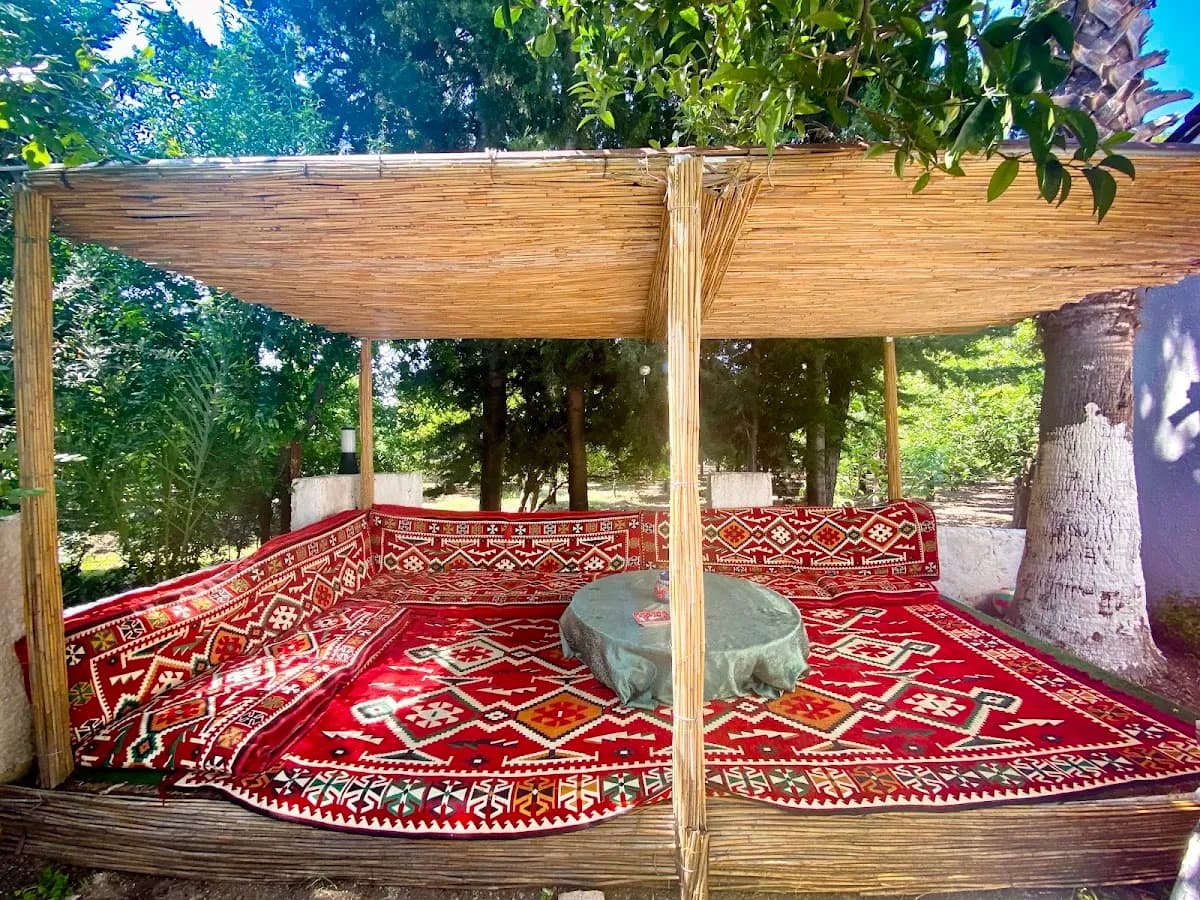 Felicity Hotel & Bungalows - photo 8
