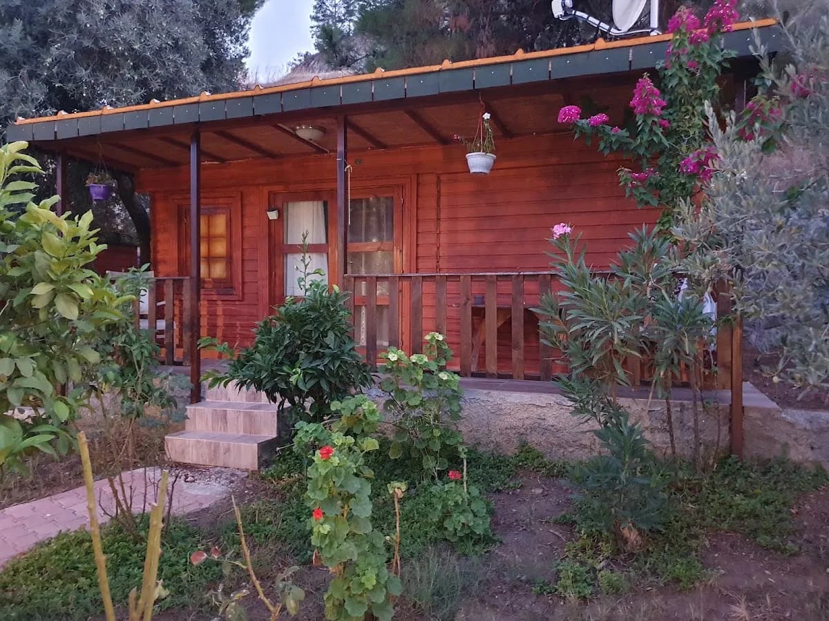 Felicity Hotel & Bungalows - photo 9