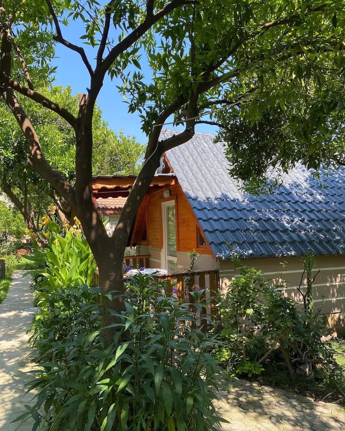 Serenity Bungalov Çamyuva - photo 5