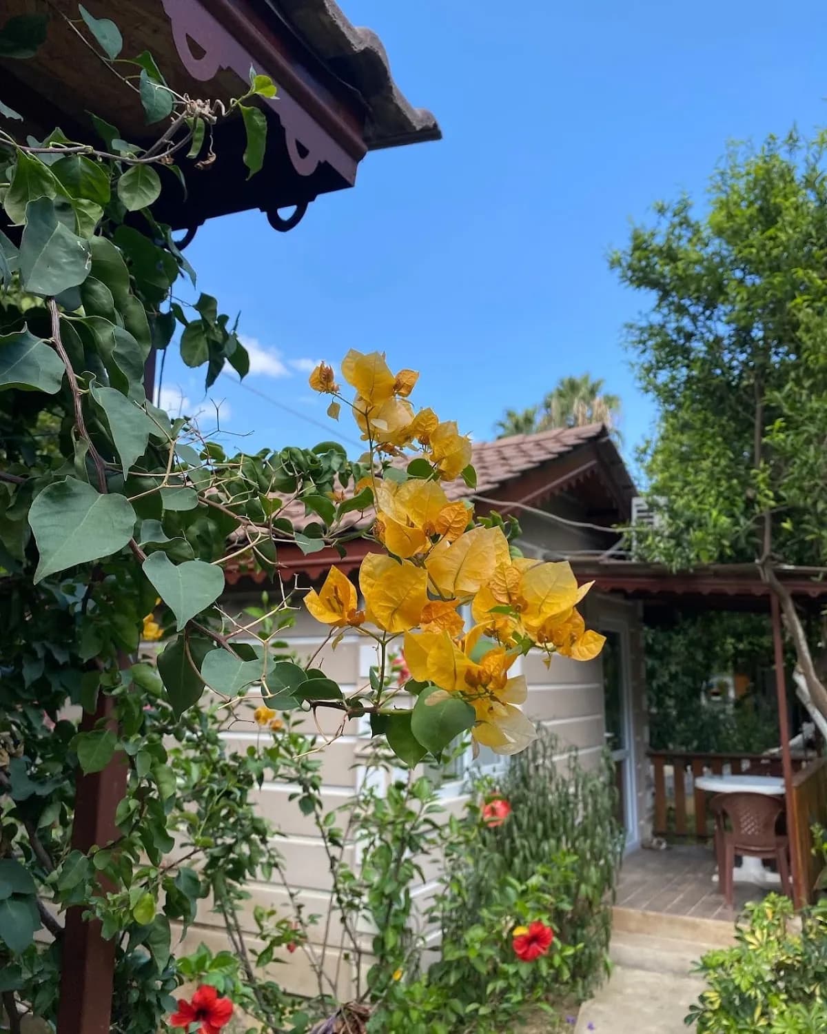Serenity Bungalov Çamyuva - photo 10