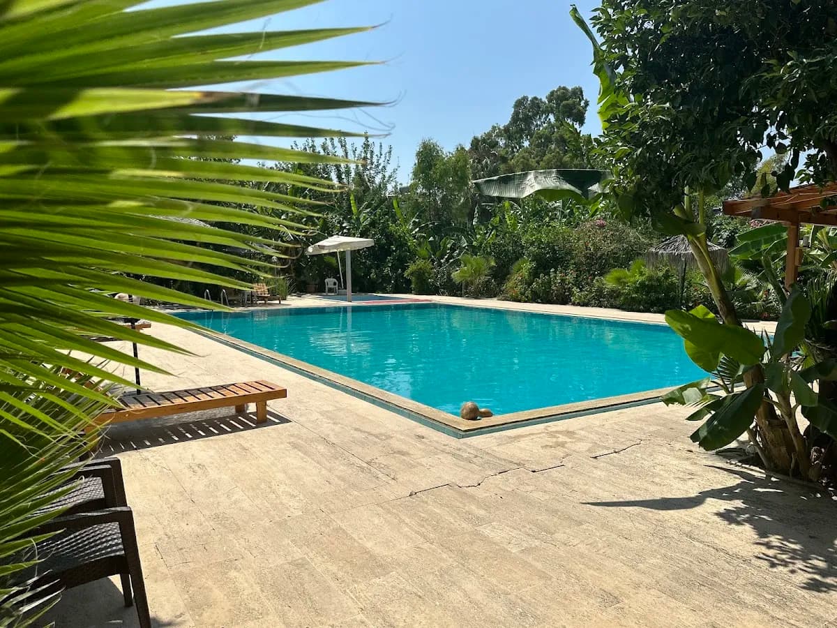 Kiriş Garden Hotel - photo 3