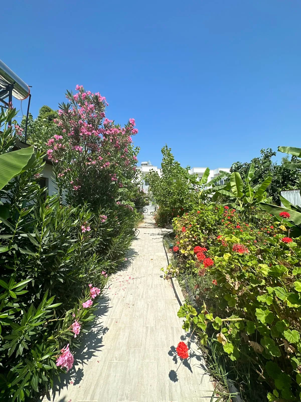 Kiriş Garden Hotel - photo 8