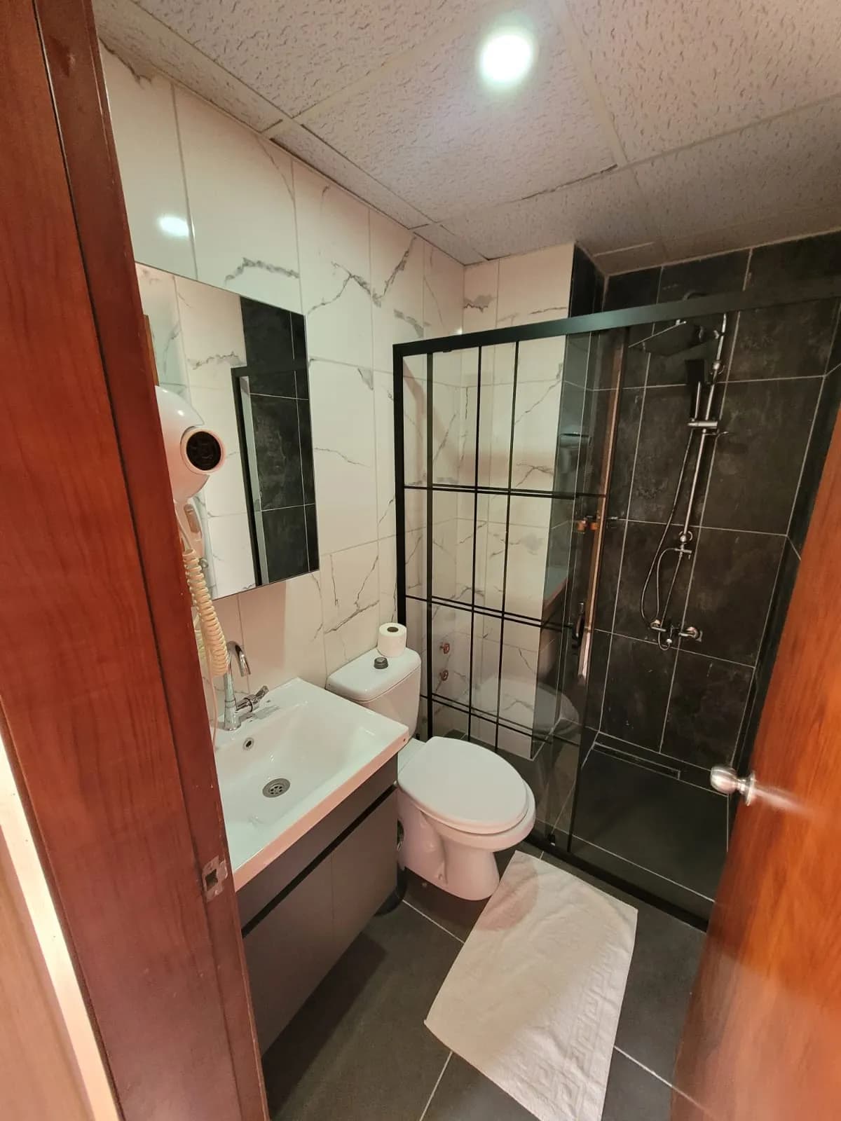 Hamir hotel - photo 4