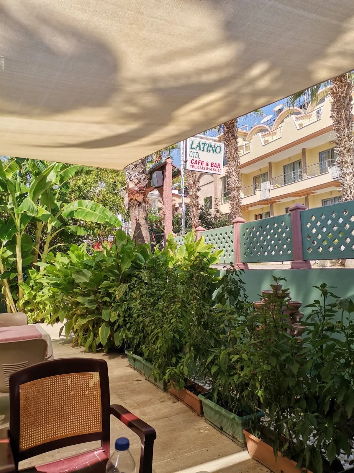 Latino Hotel - photo 8