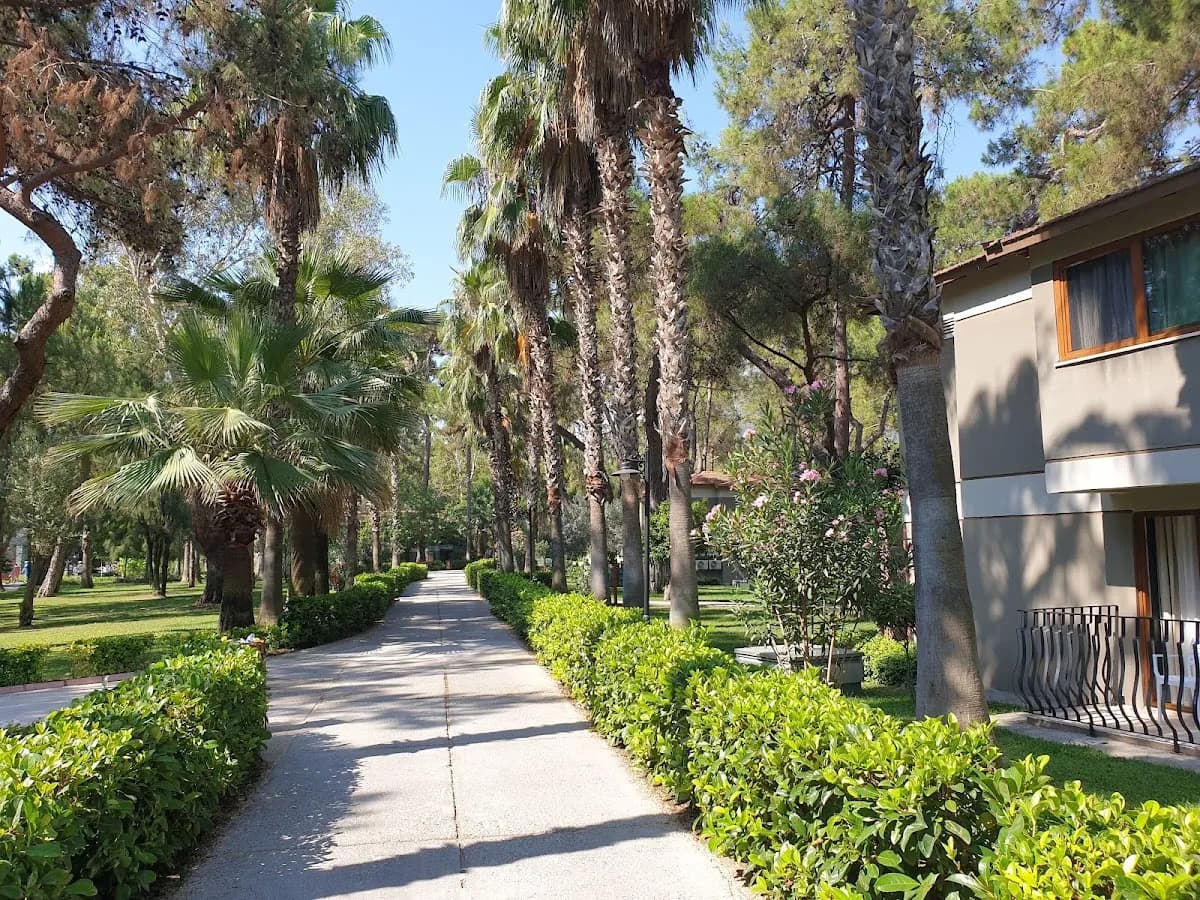 Kimeros Club Resort - photo 6