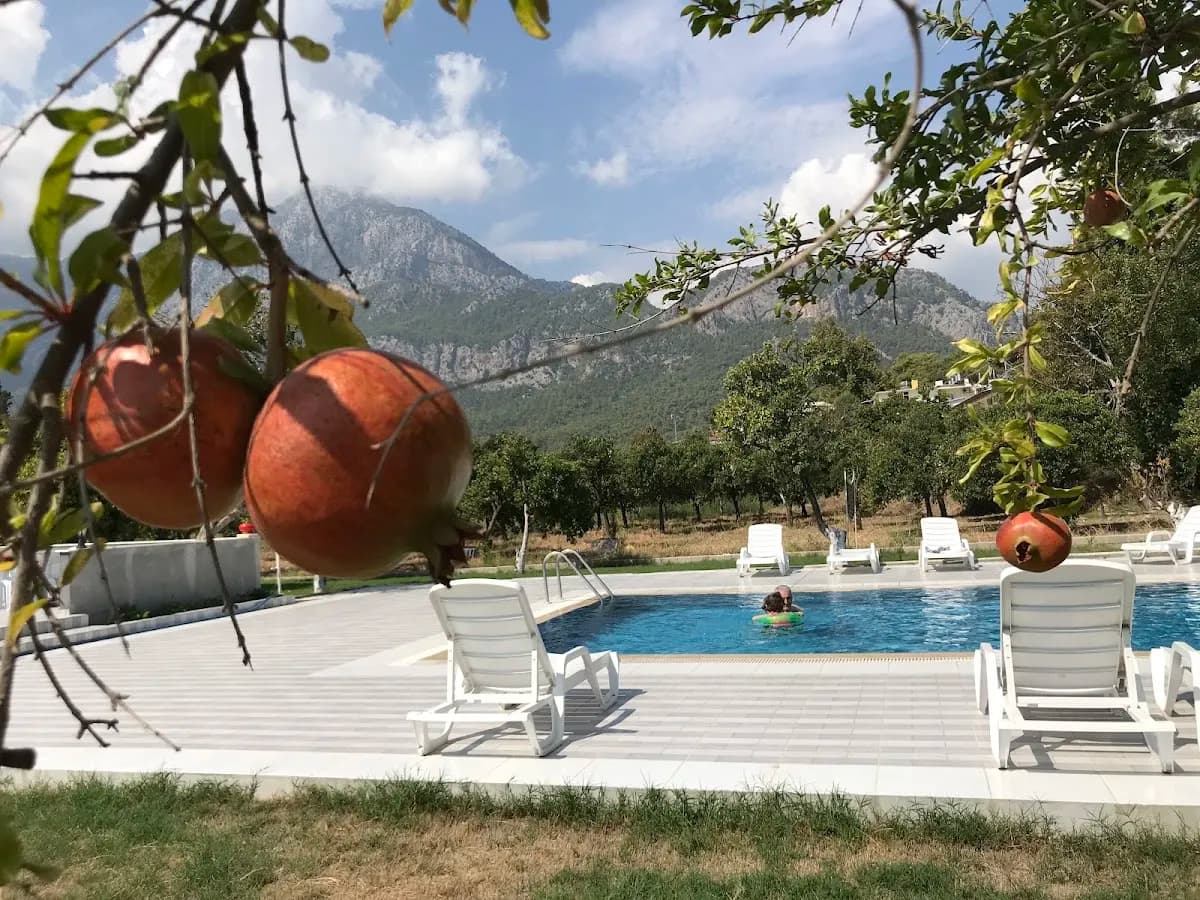 Mina Grand Hotel - photo 9