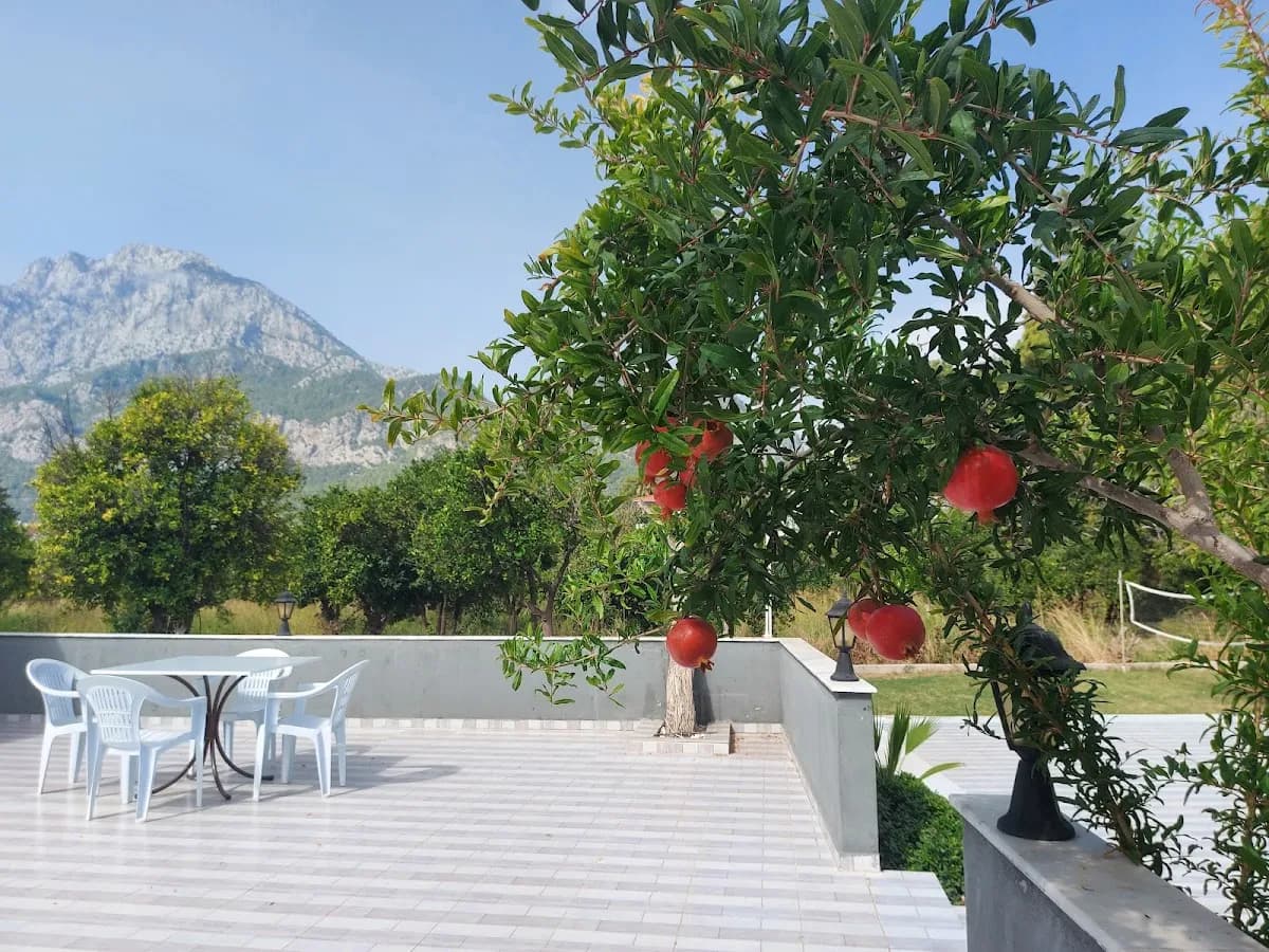 Mina Grand Hotel - photo 10