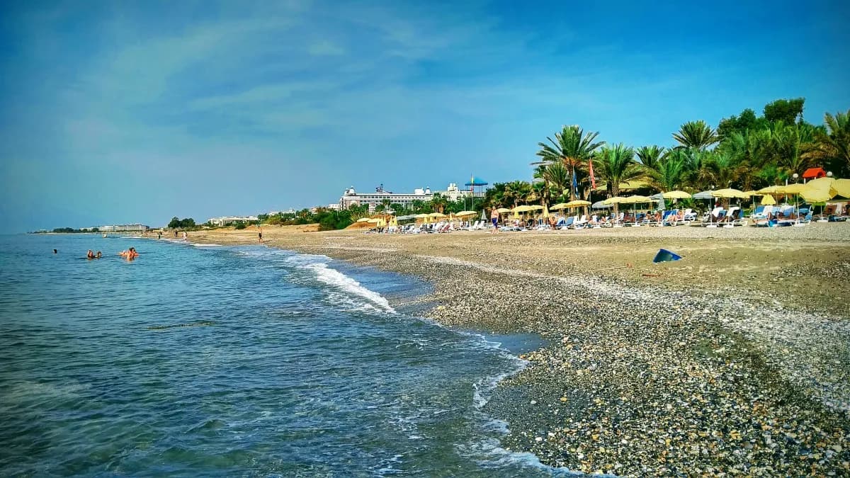 De Mare Hotel - photo 10