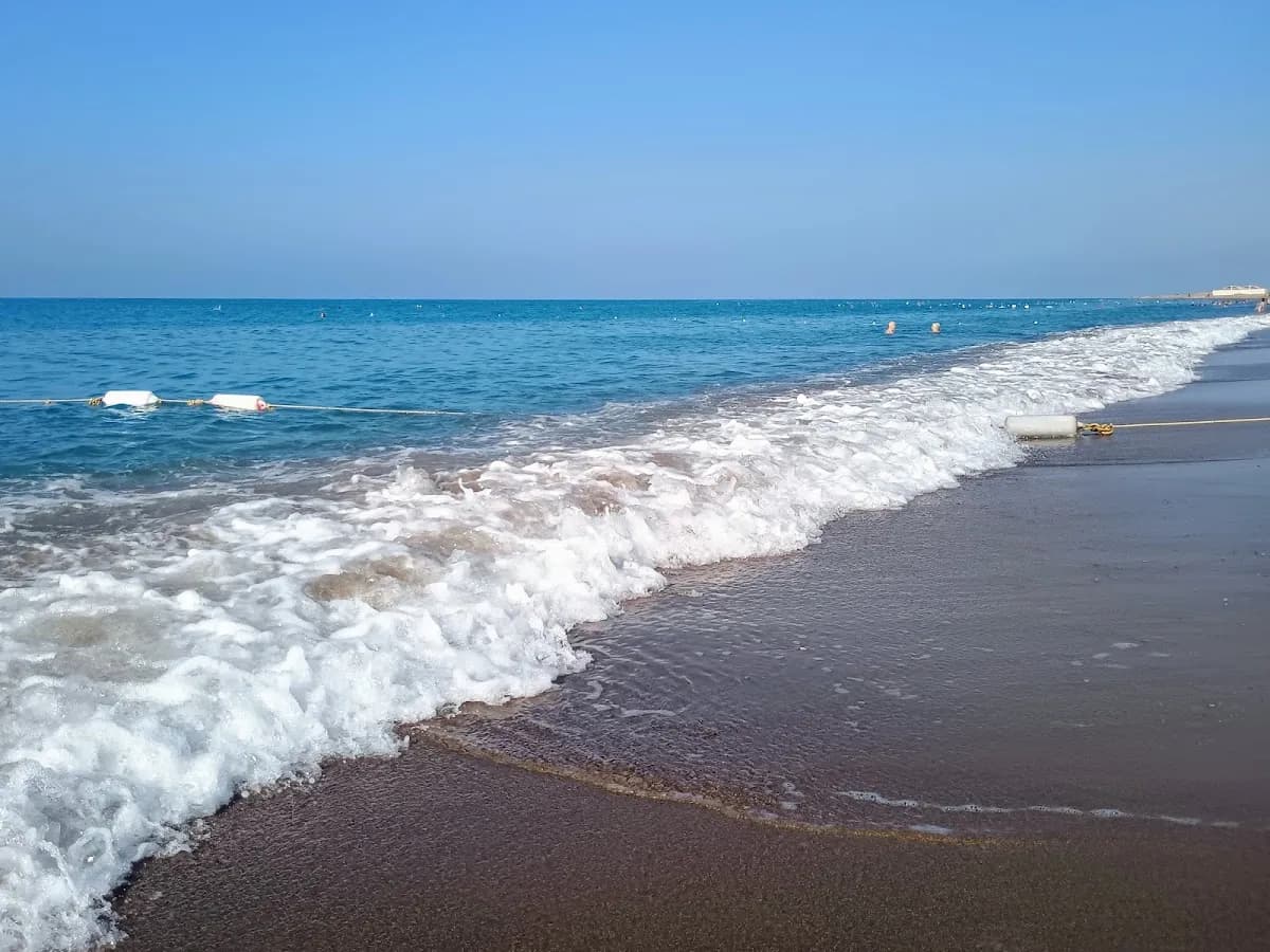 Sensitive beach - photo 3