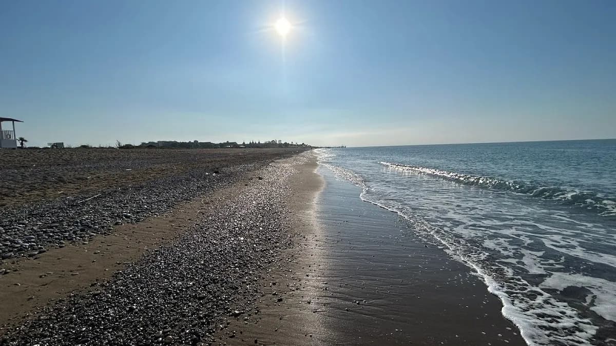 Sensitive beach - photo 6