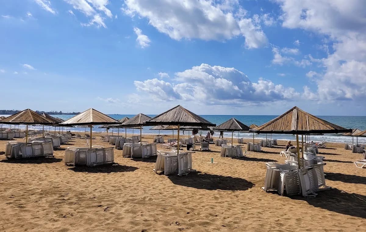 Hotel Defne Star - photo 6