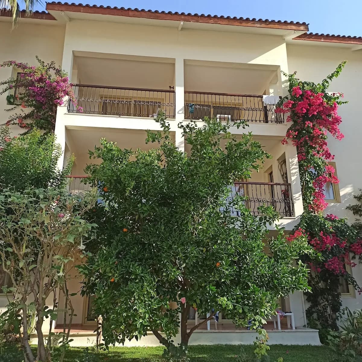 Kentia Suites - photo 9