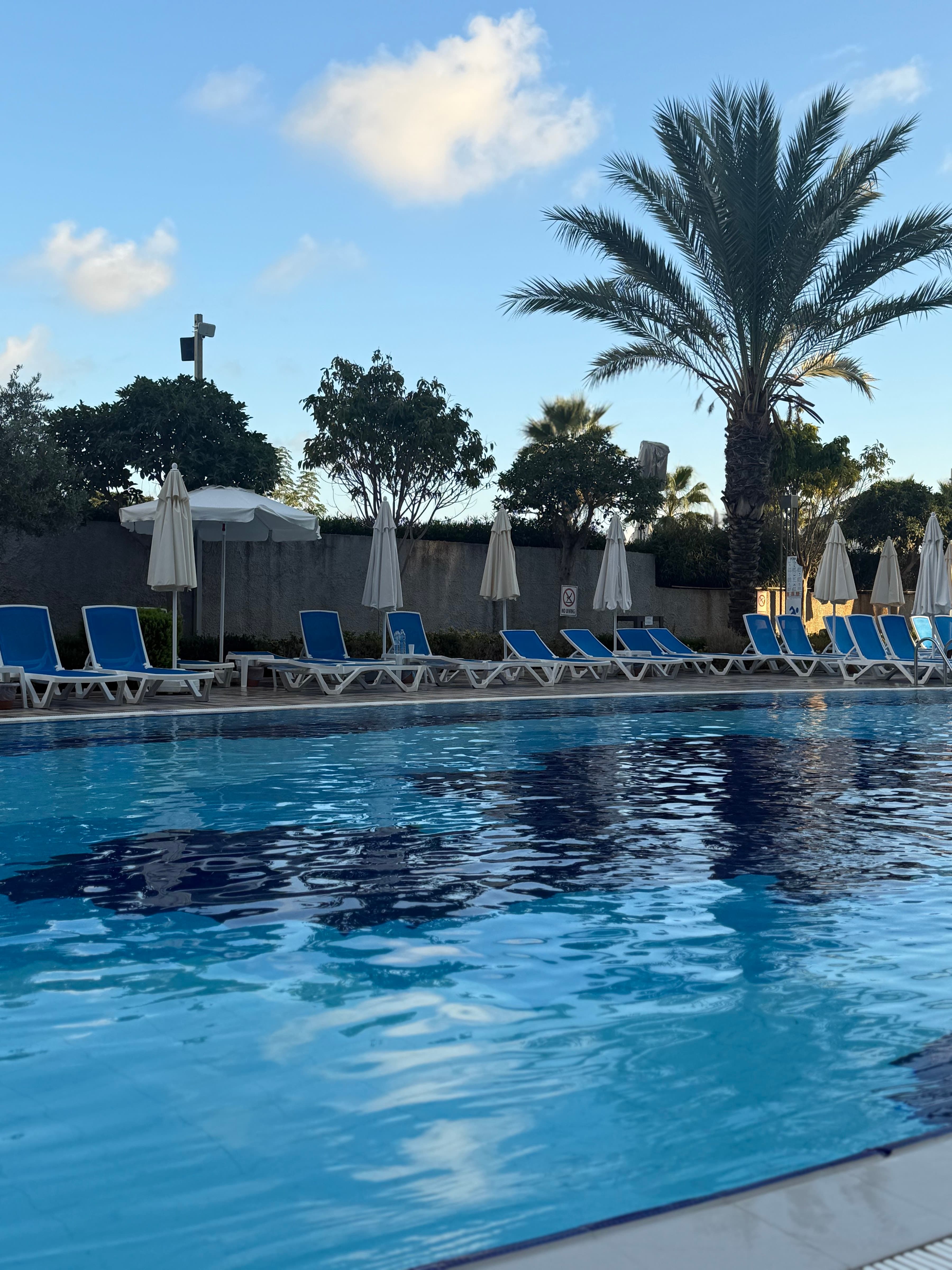 Numa Bay Exclusive - photo 3
