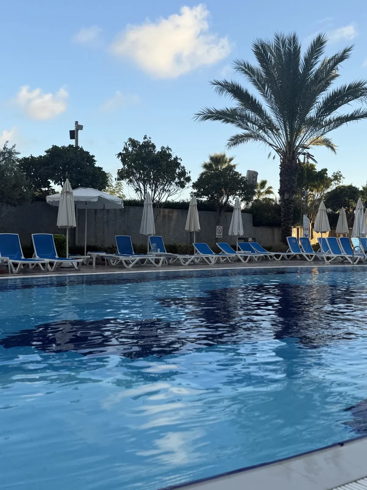 Numa Bay Exclusive - photo 3
