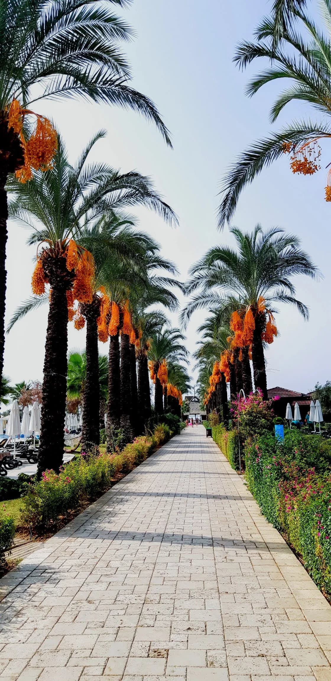 Otel Serra Palace - photo 7