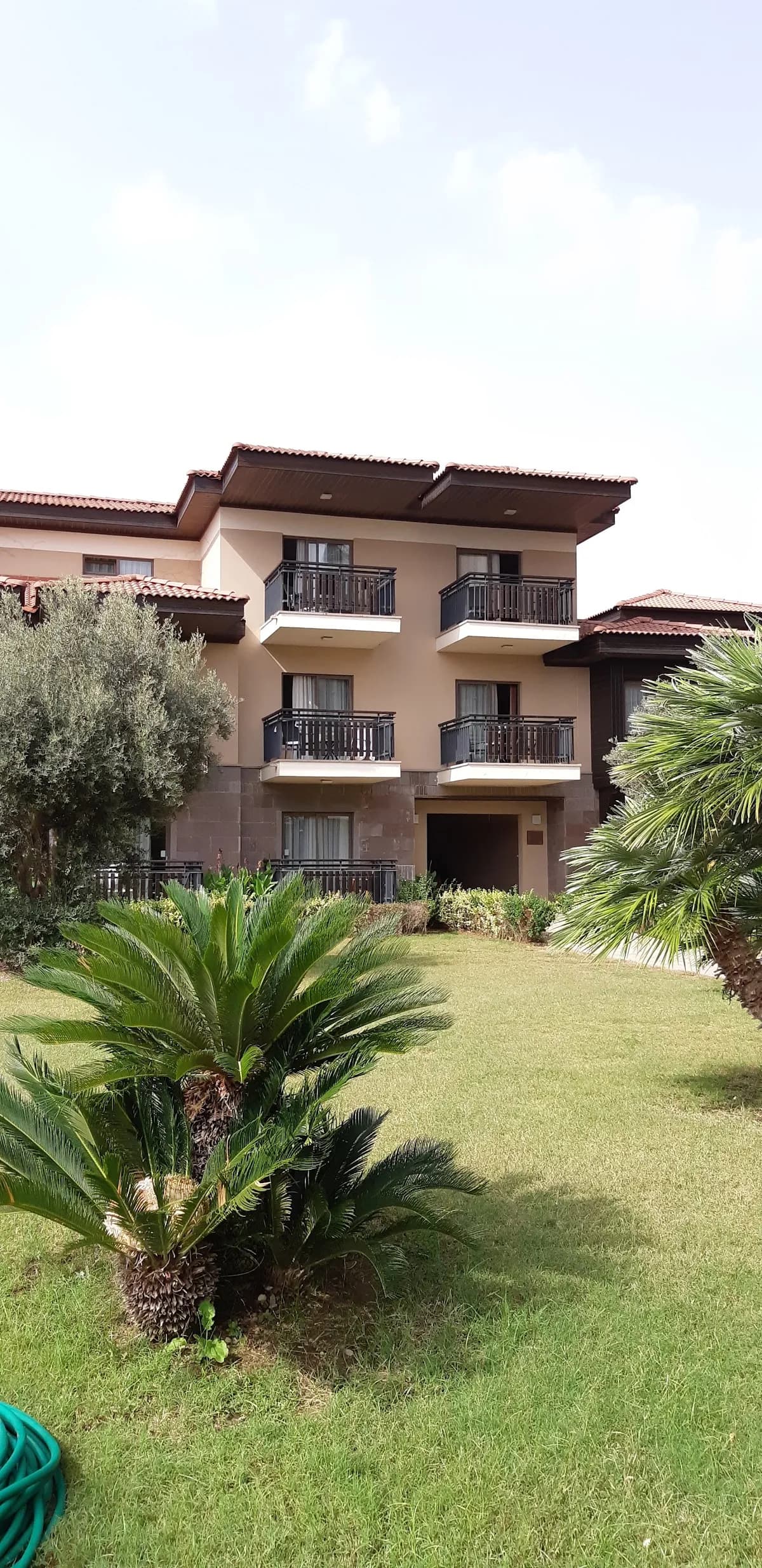 Otel Serra Palace - photo 8