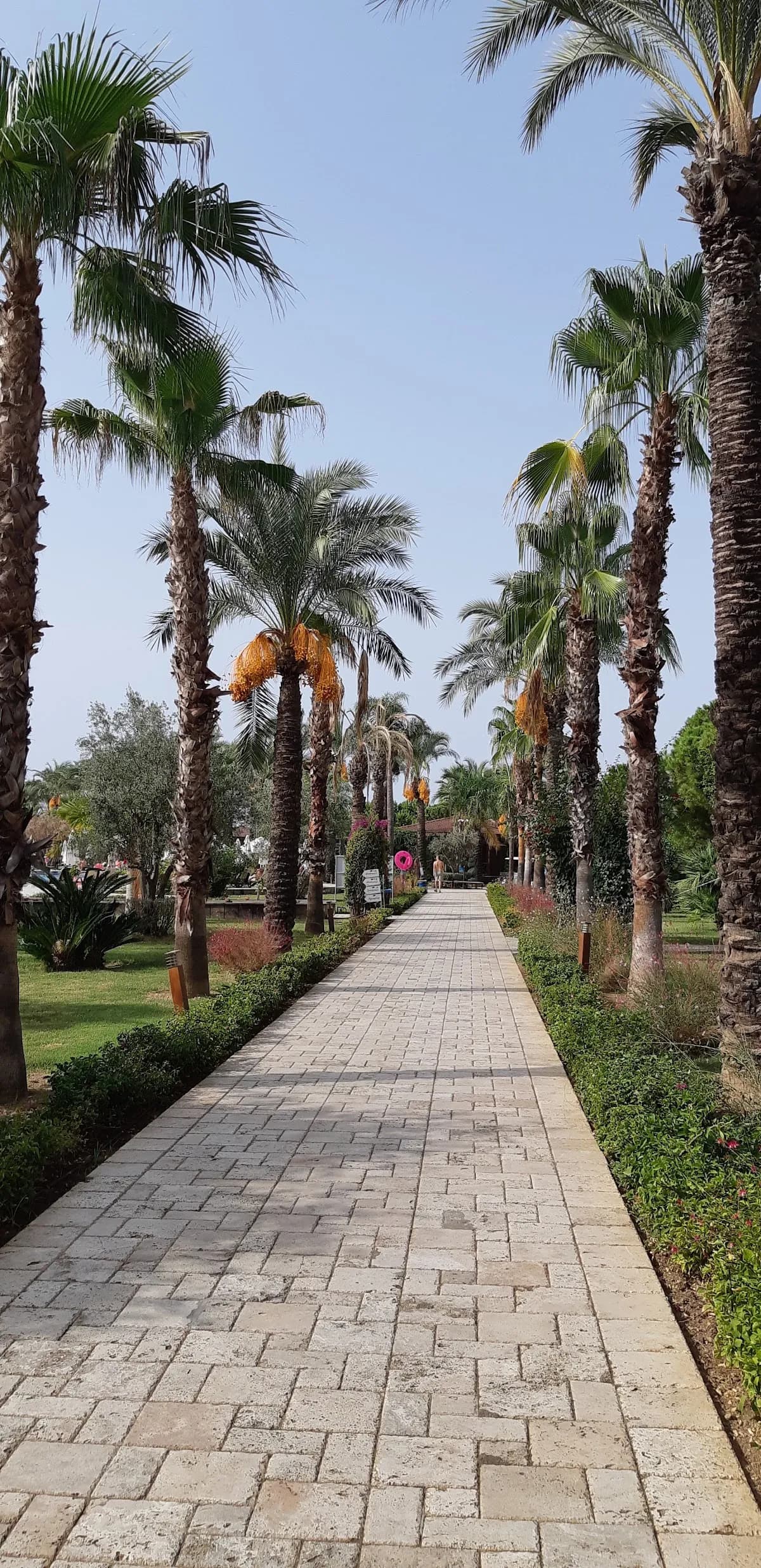 Otel Serra Palace - photo 9