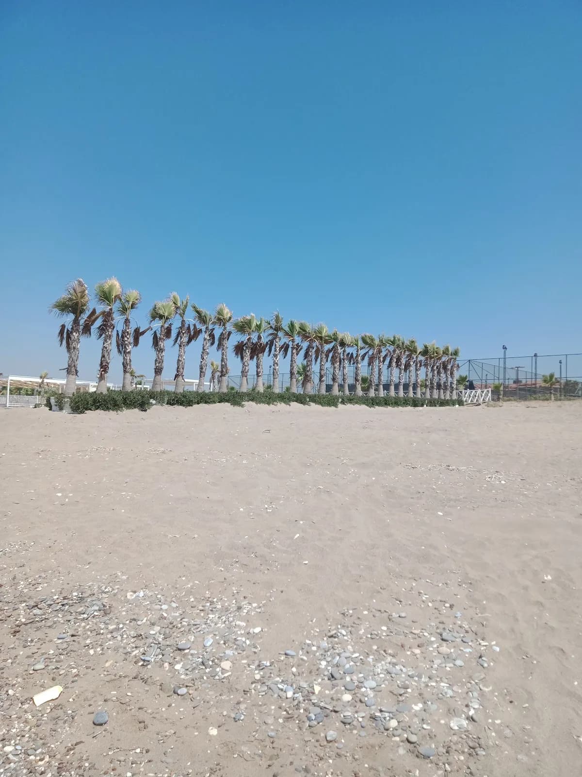 Otel Serra Palace - photo 10