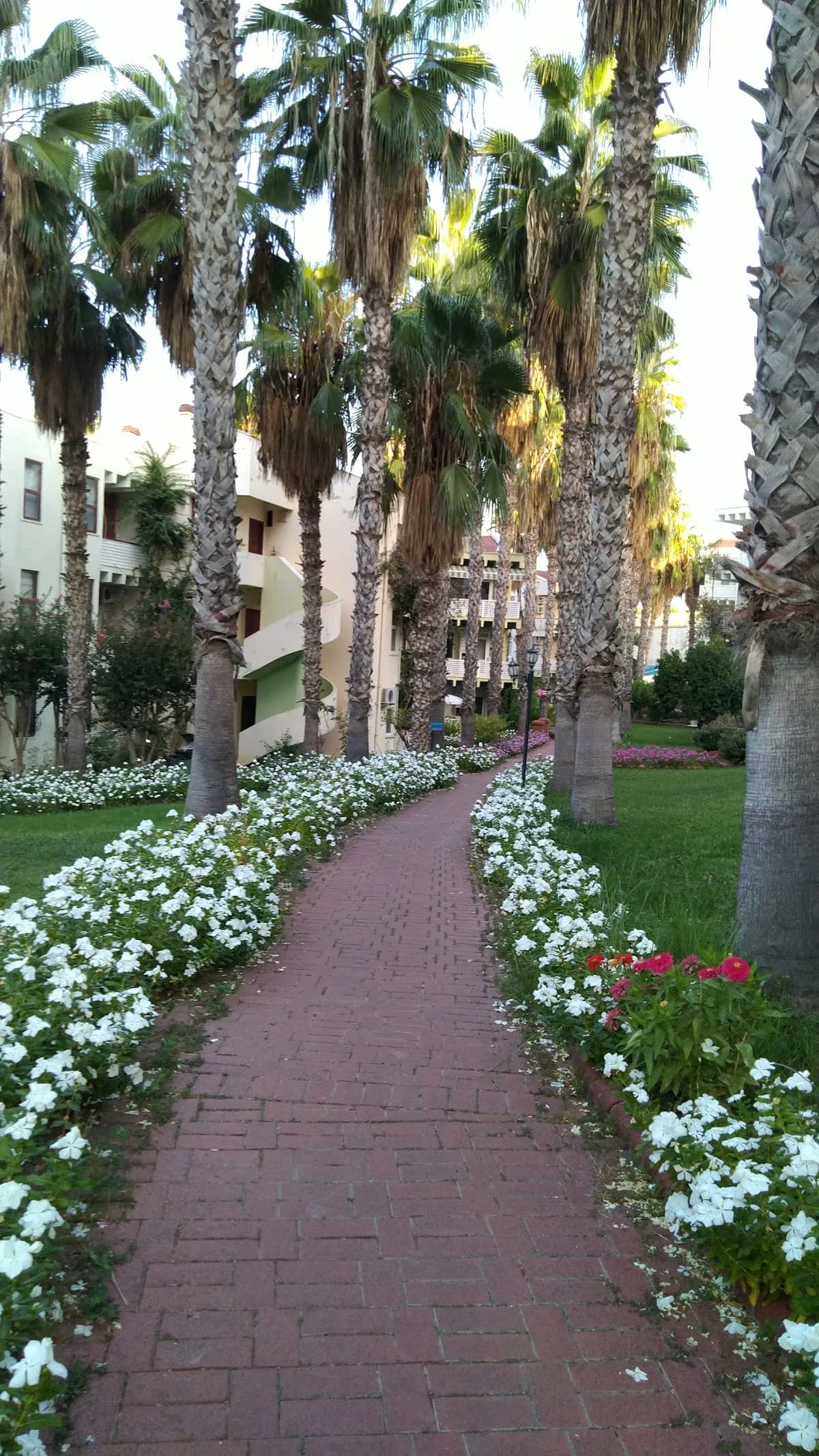 Alanya Cimtur Family House - photo 3