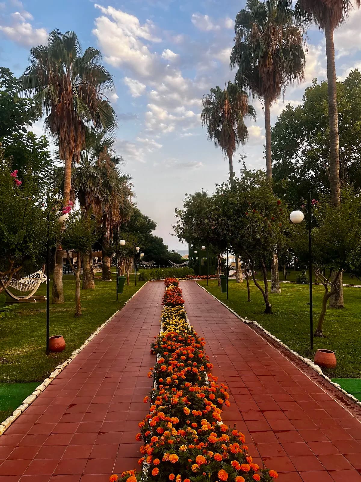 Lti Lycus Beach - photo 7