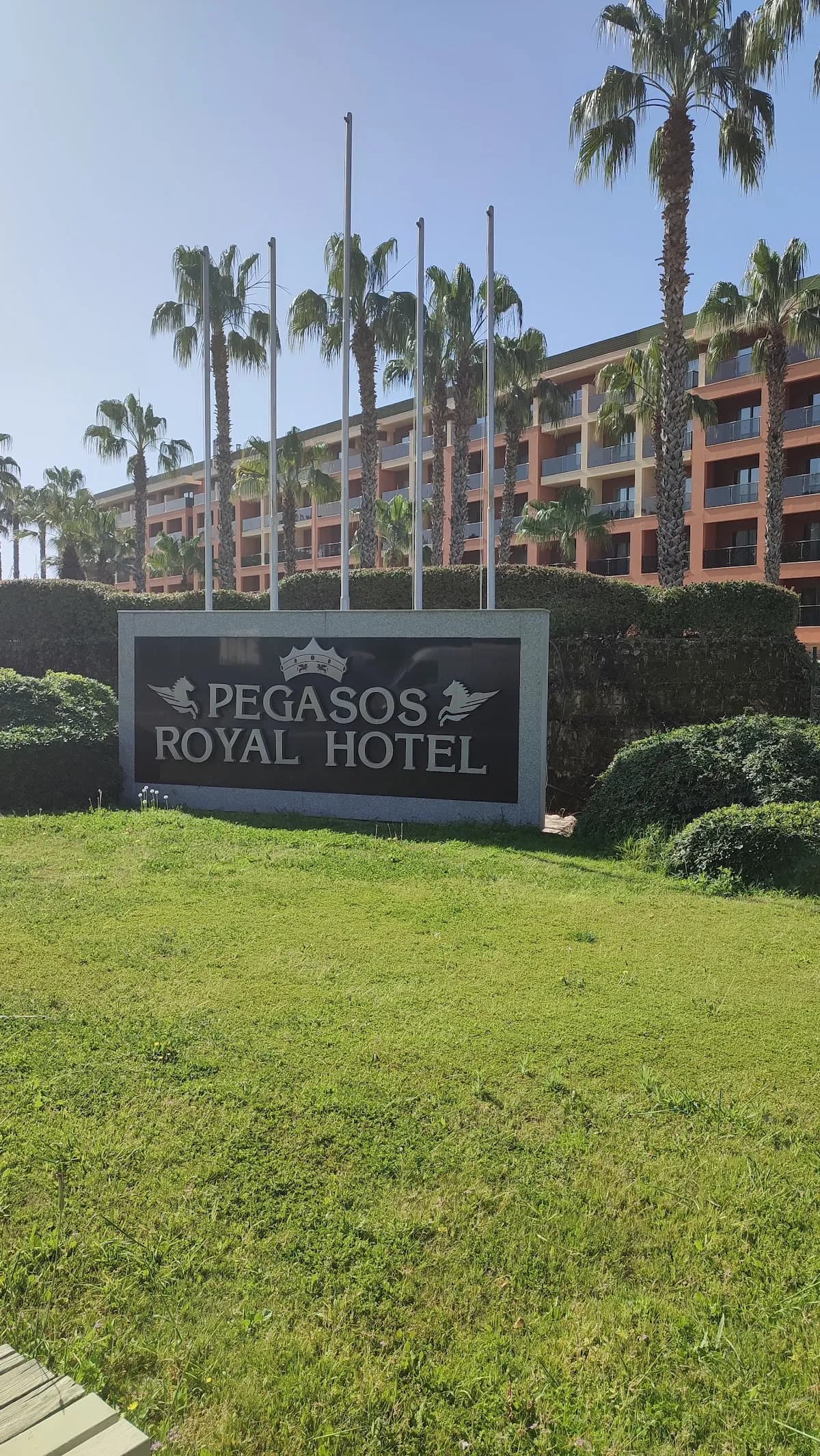 Pegasos Royal - photo 4