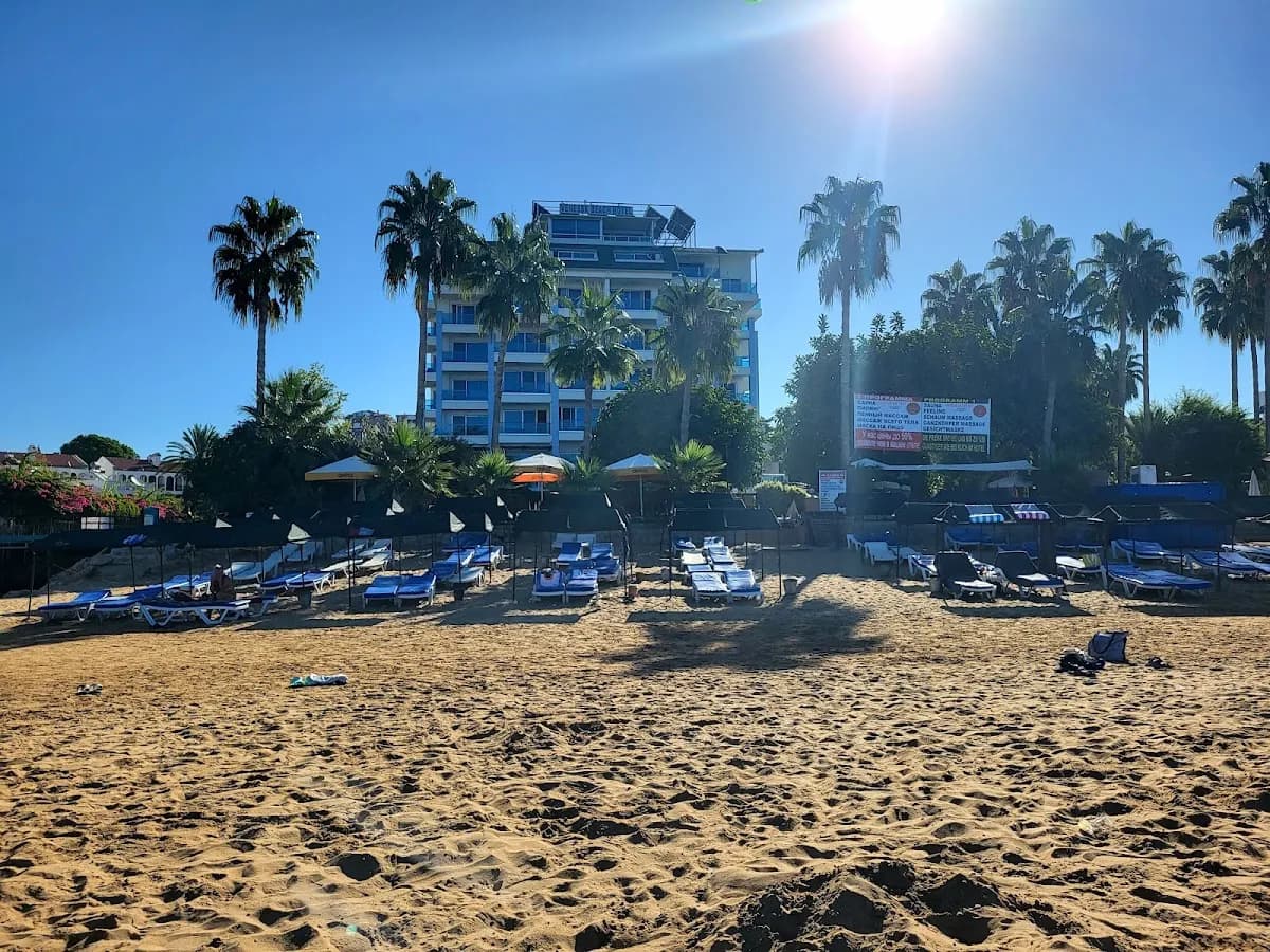Venessa Beach Hotel - photo 4