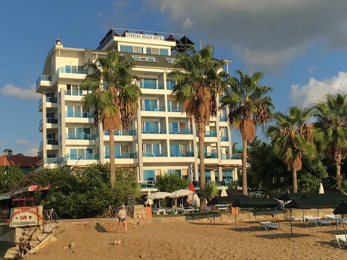 Venessa Beach Hotel - photo 6