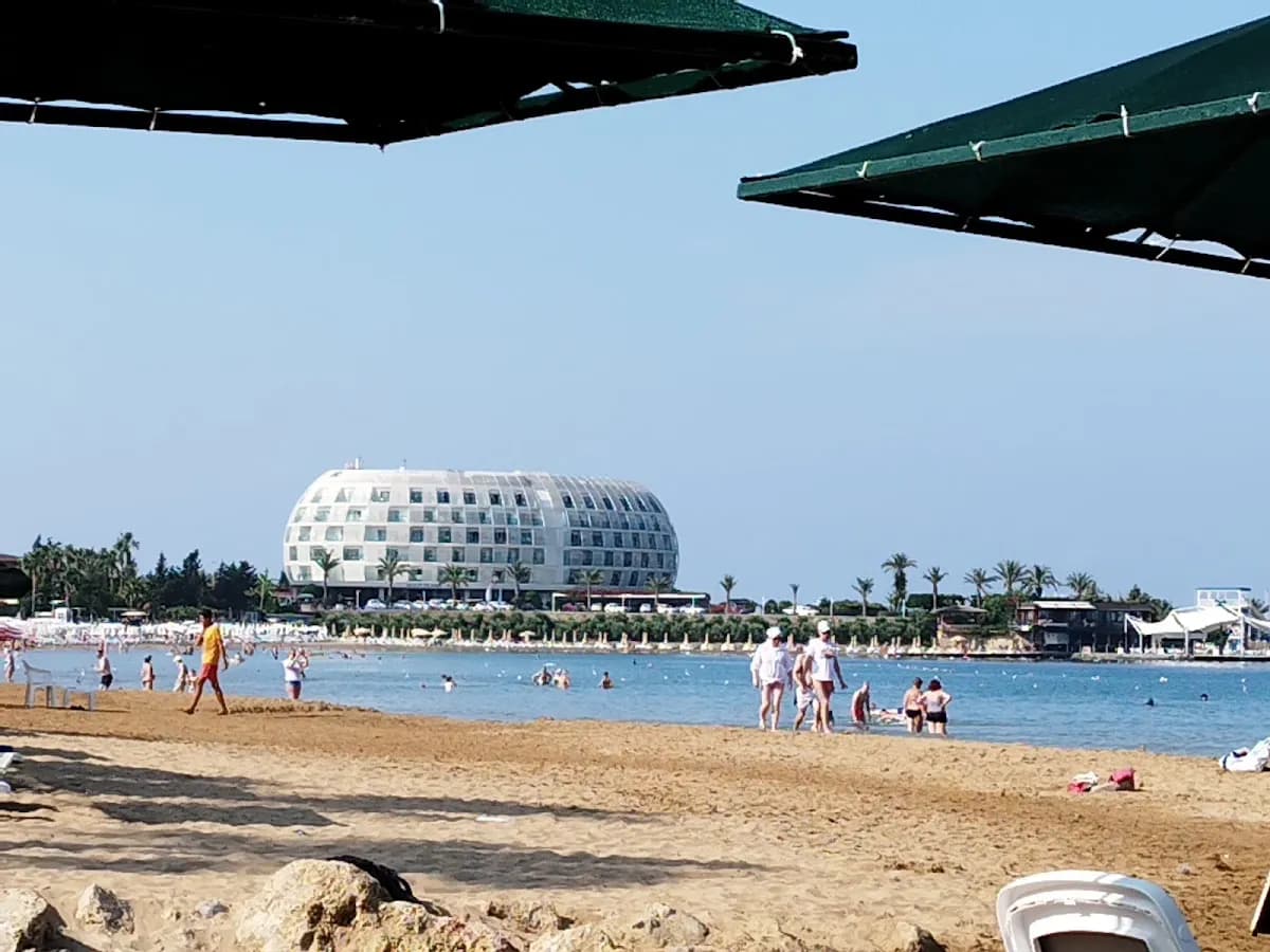 Venessa Beach Hotel - photo 8