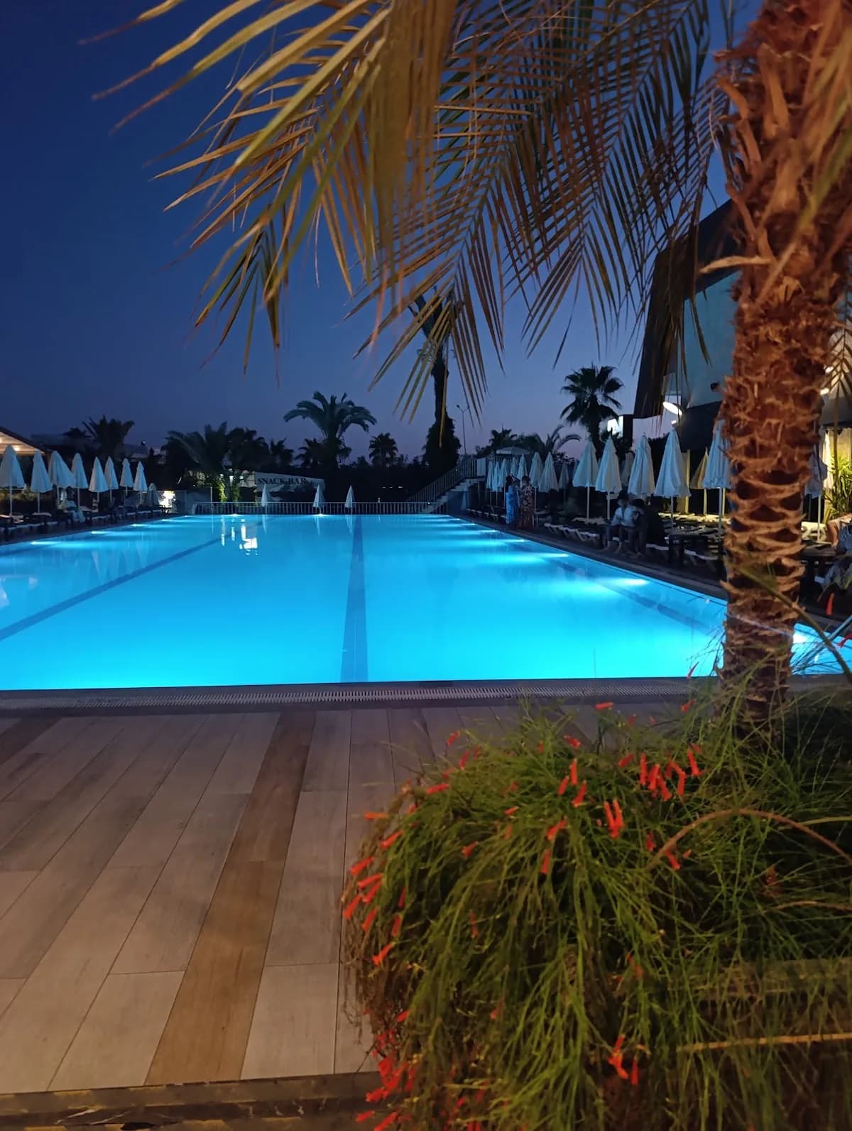 Sun Star Resort Otel - photo 3