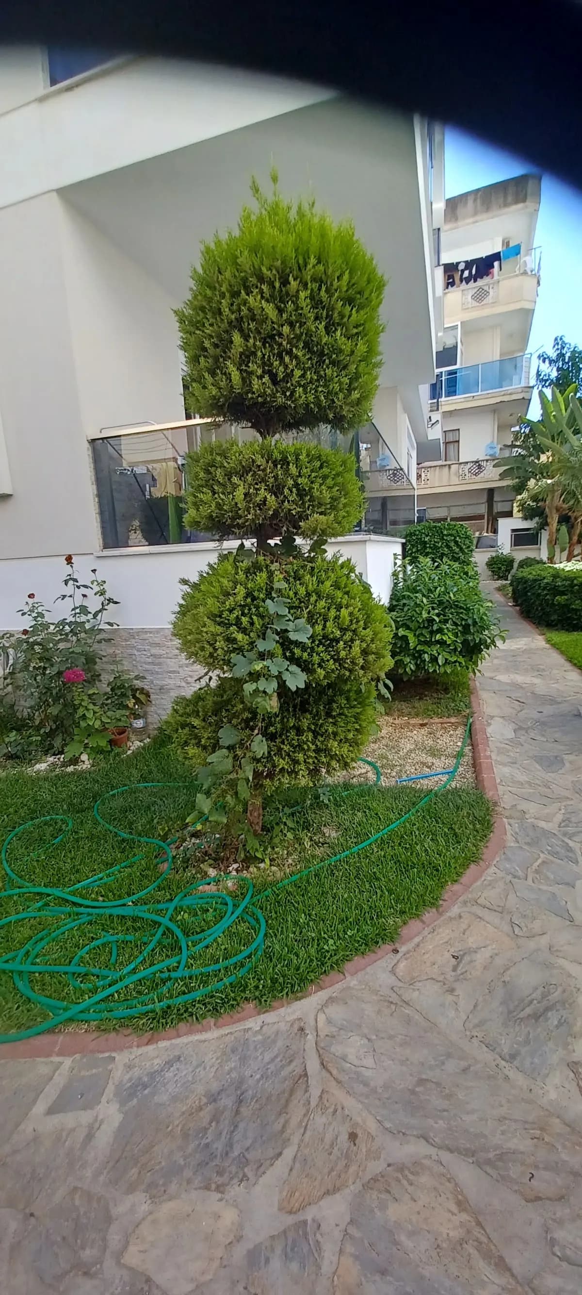 Taksim International Hotel