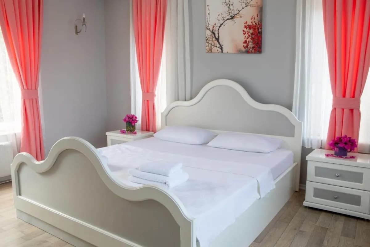 Olya Boutique Hotel - photo 2