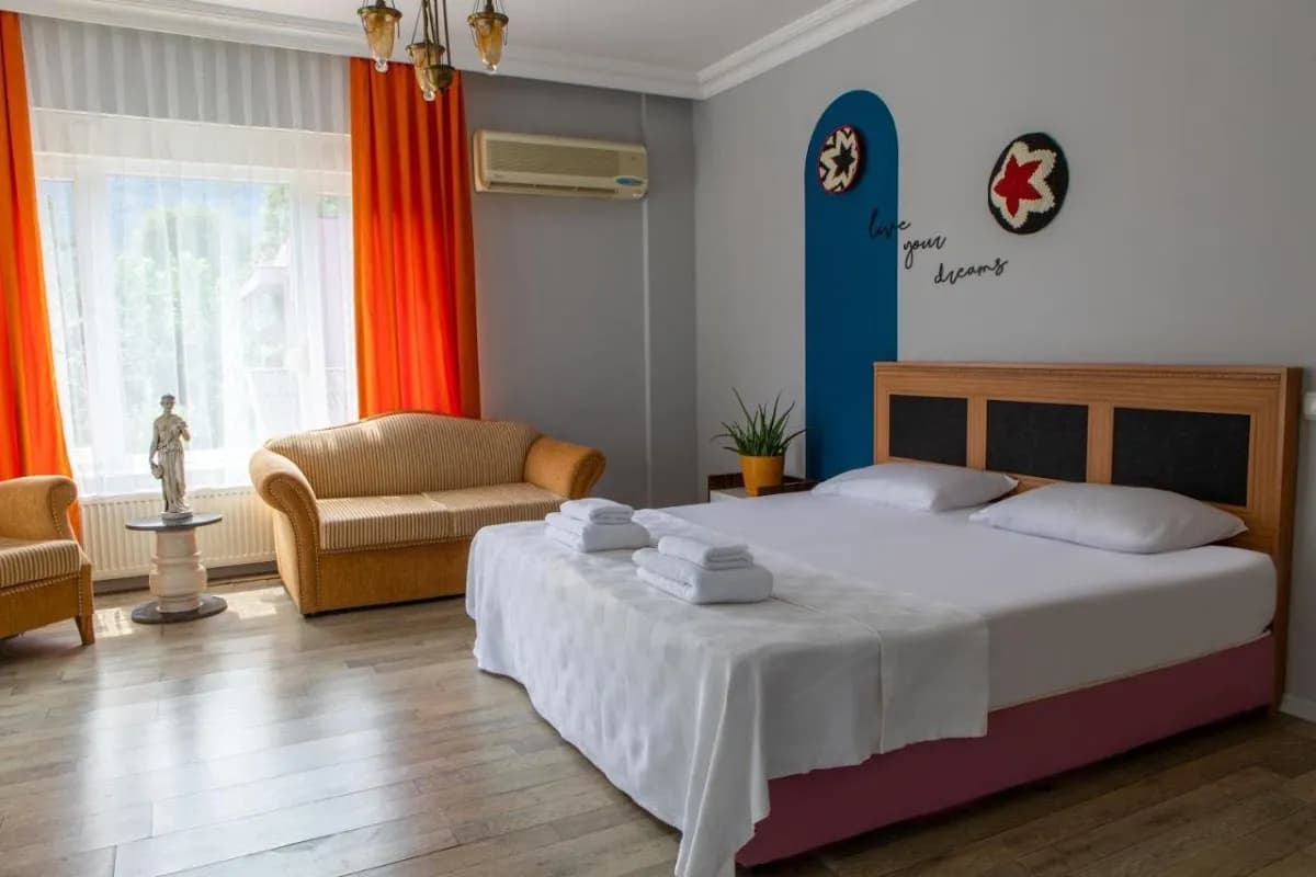 Olya Boutique Hotel - photo 7