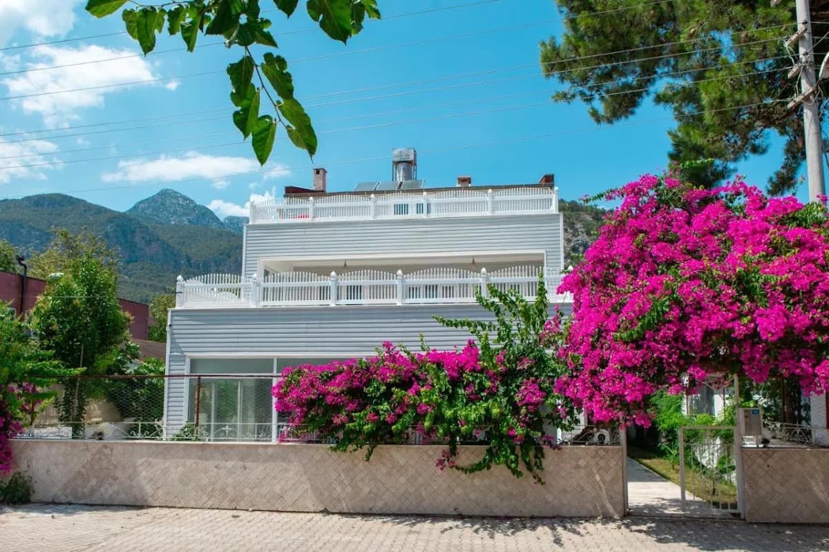 Olya Boutique Hotel - photo 9