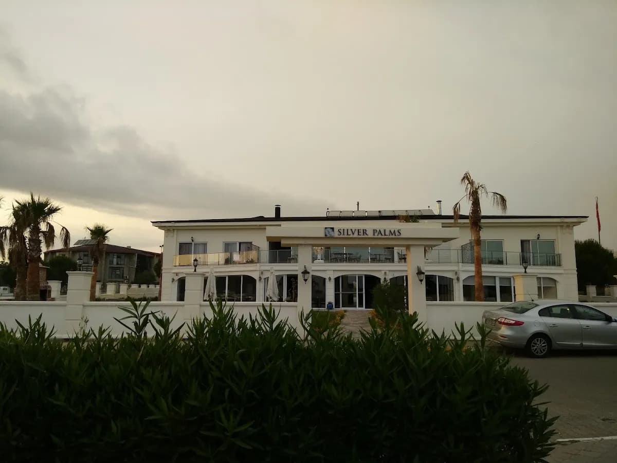 Silver Palms - photo 4