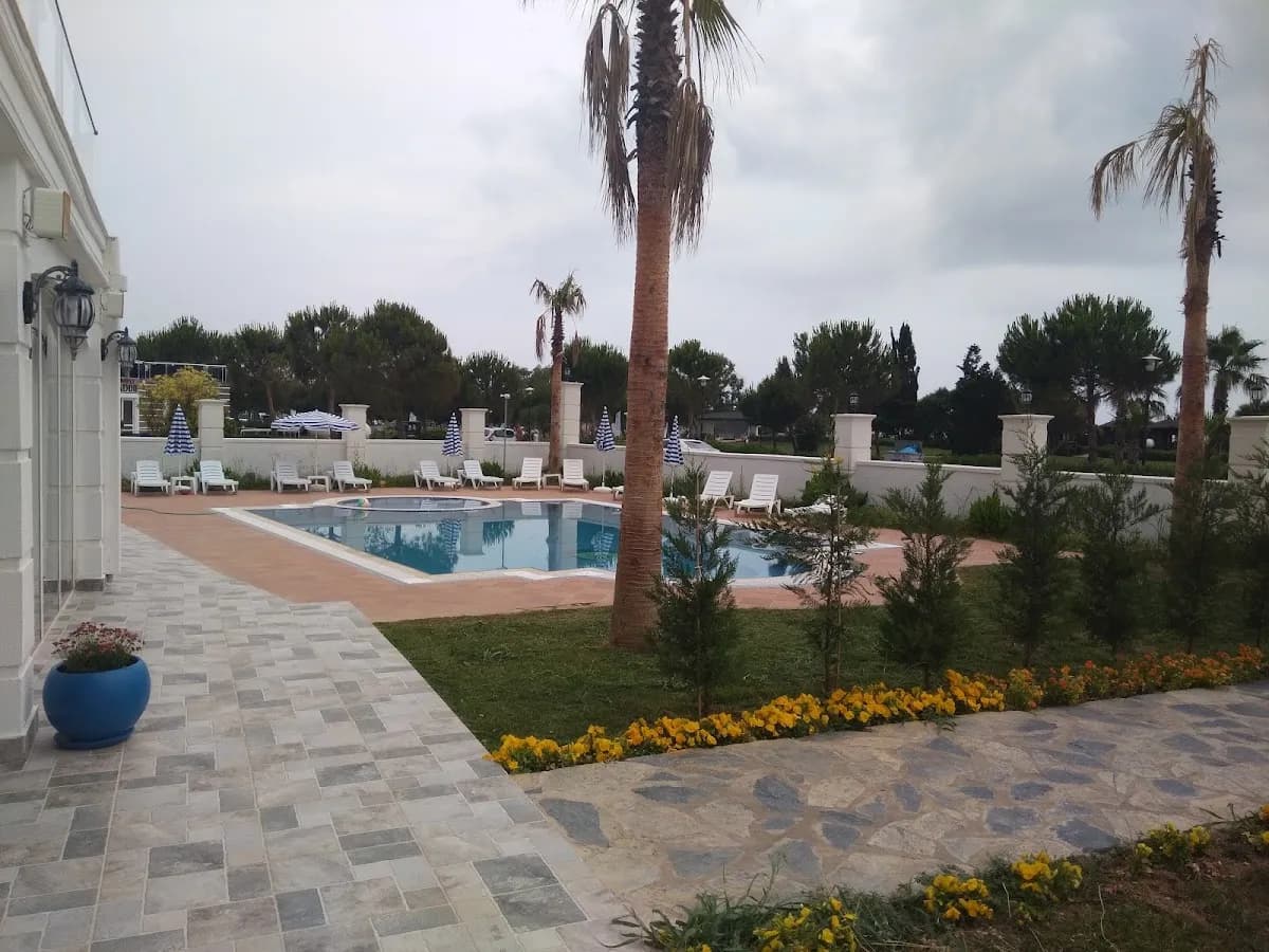 Silver Palms - photo 8