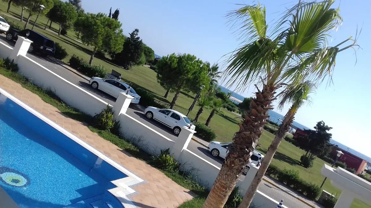 Silver Palms - photo 9