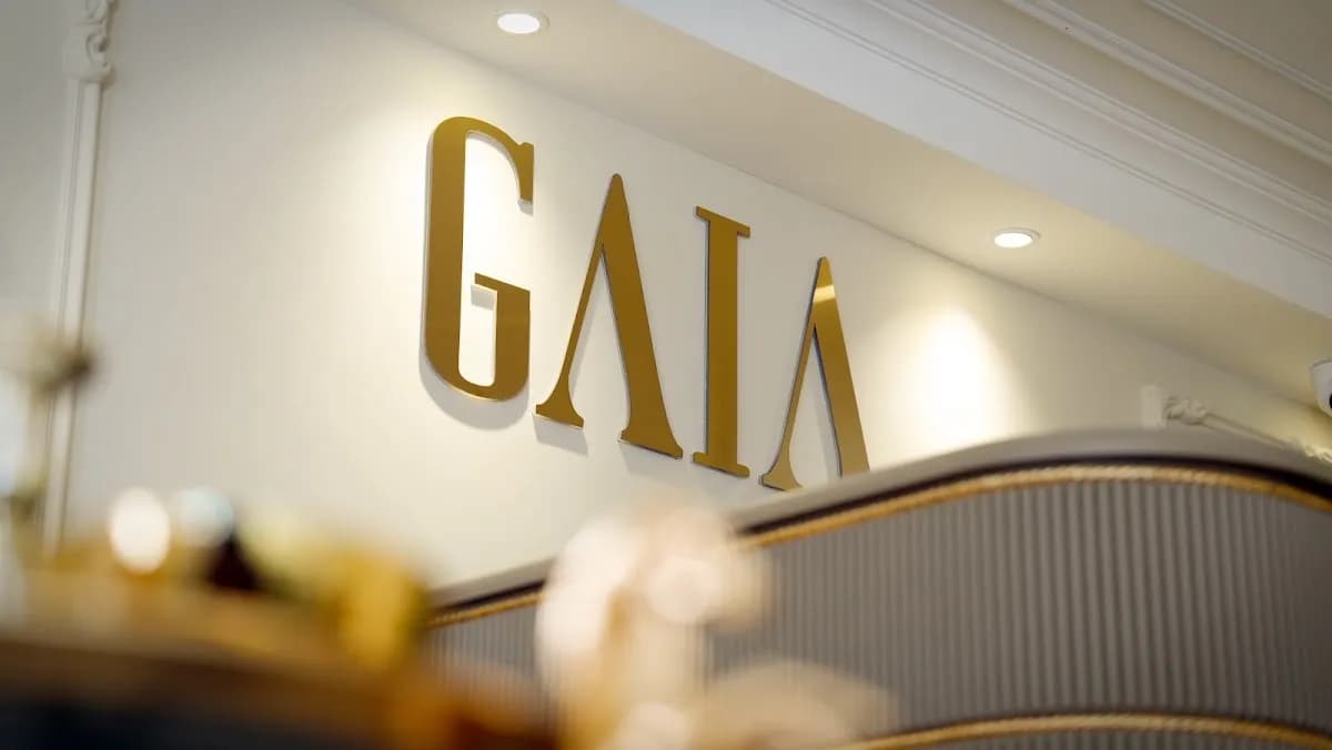 Gaia Suites İstanbul - photo 6