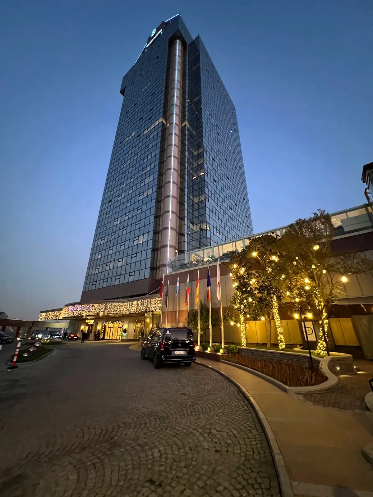 The Ritz-Carlton, Istanbul - photo 8