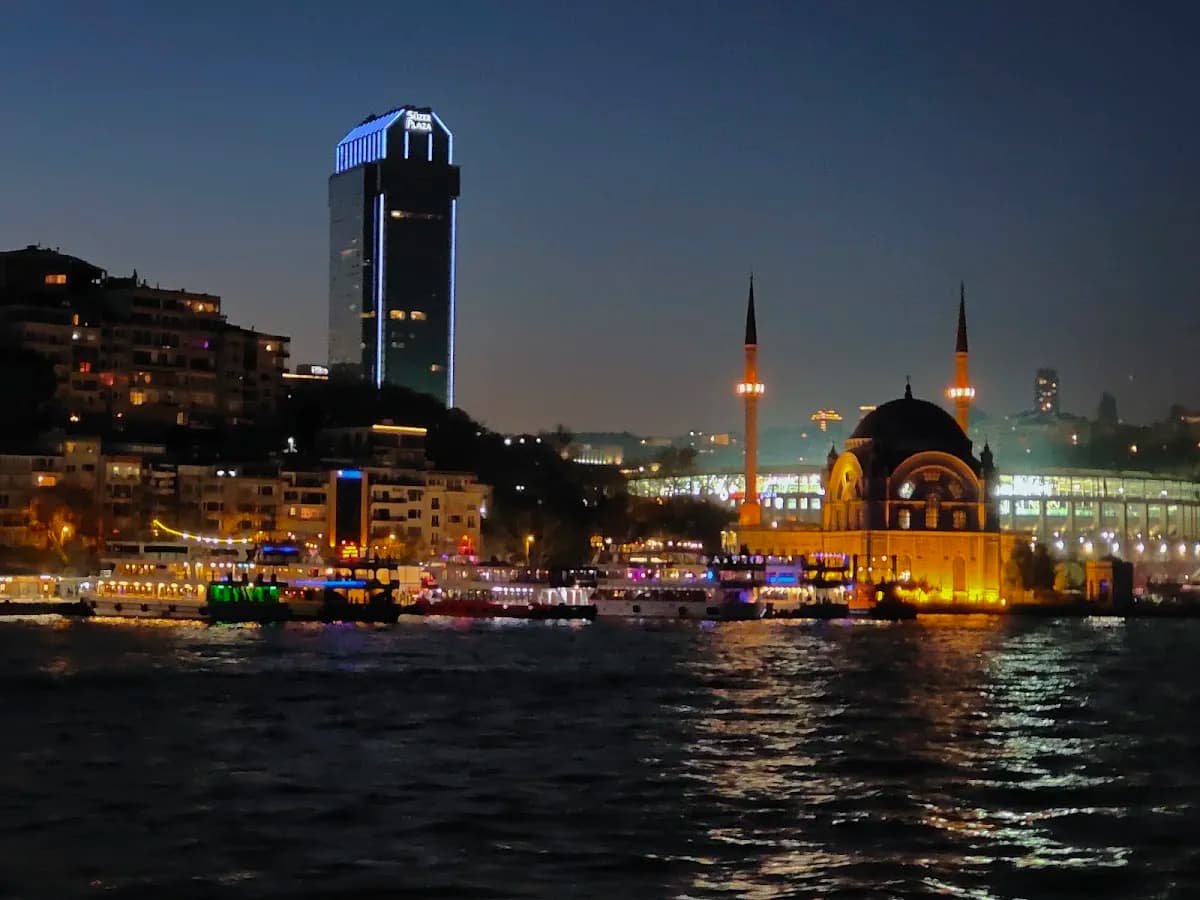 The Ritz-Carlton, Istanbul - photo 9