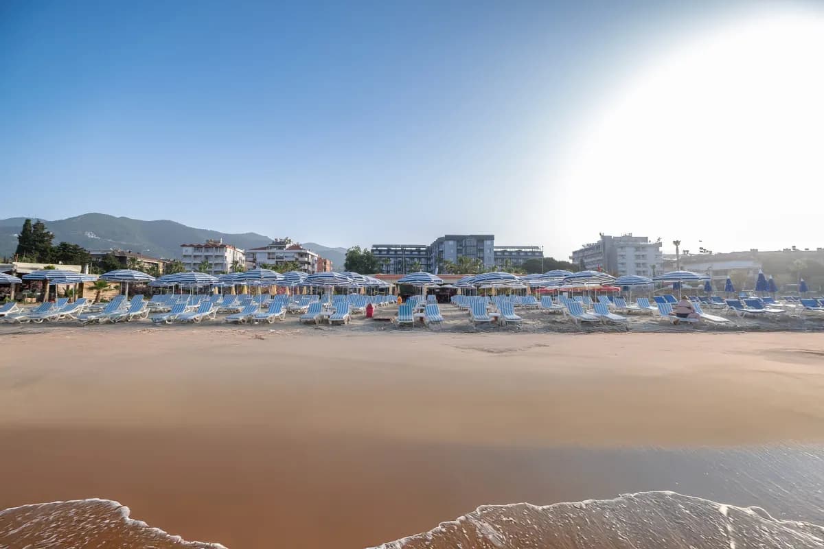 Ananas Hotel - photo 6