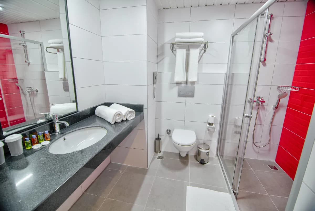 Ramira City Hotel - photo 4
