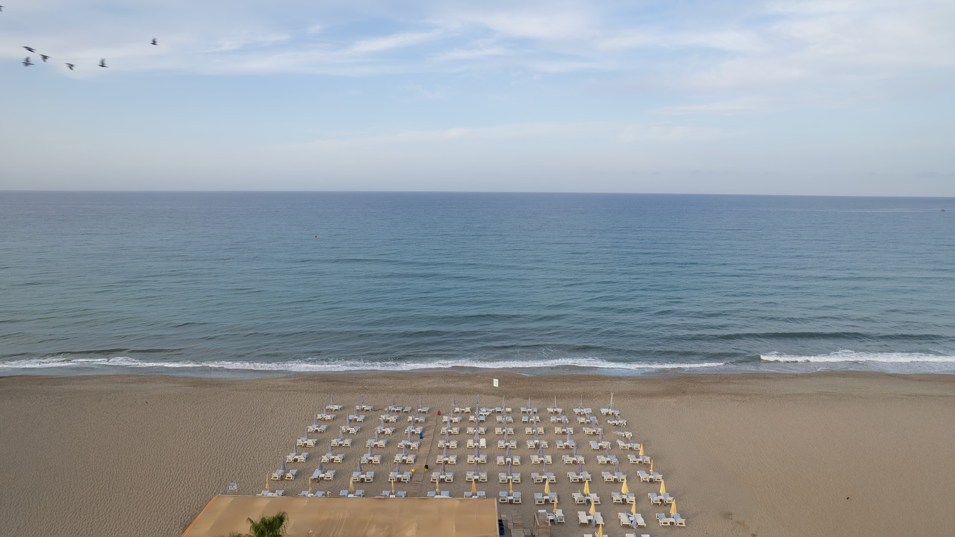 Ananas Hotel - photo 7