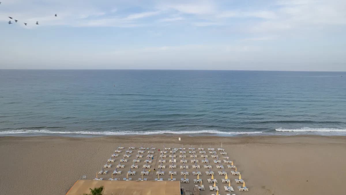 Ananas Hotel - photo 7