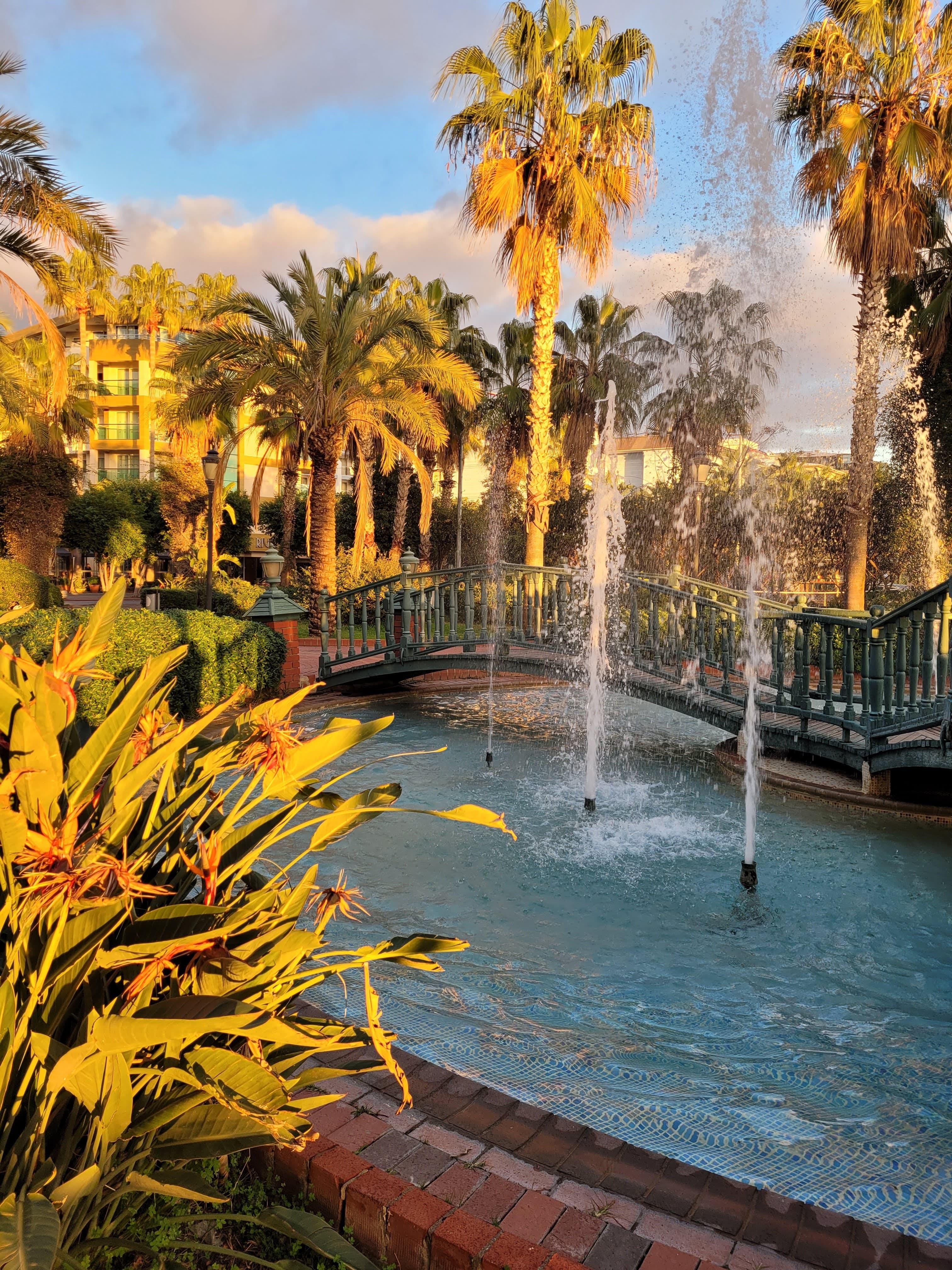 Riviera Hotel & Spa - photo 9